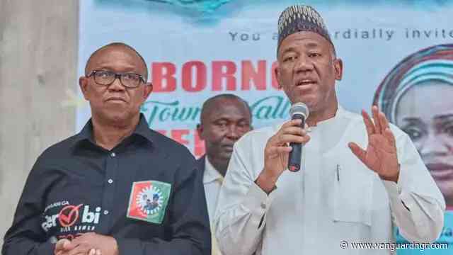 ‘Am I not Nigerian’? – Baba-Ahmed faults reactions to his ‘criticism’ of Peter Obi