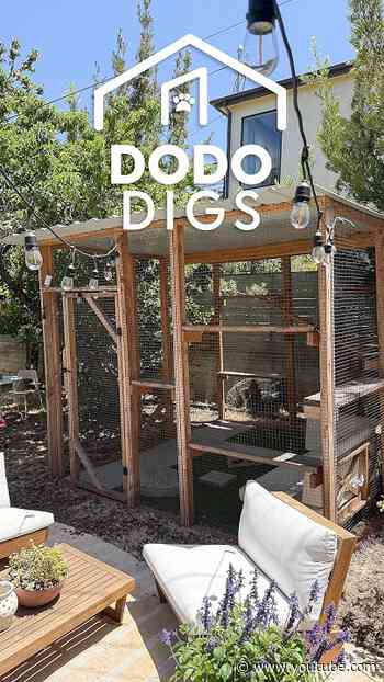 Woman Builds Her Cats The Backyard Catio Of Their Dreams | The Dodo