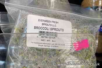 FDA reports salmonella outbreak linked to broccoli sprouts