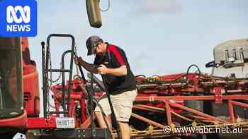 Diesel price 'deja vu' for grain farmers nearing harvest