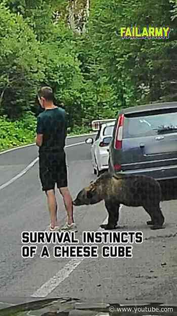 What happens when you don't pay attention #bear #wildanimals #animalencounters #scare #shorts