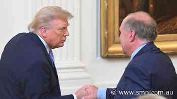 No need for midterm election emergency, says Trump’s ‘transparency’ aide