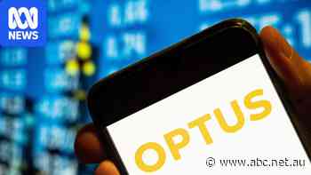 Victoria Police conduct dozens of welfare checks after Optus outage