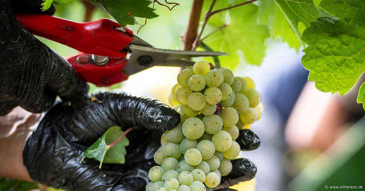 Neue Qualitätspyramide für deutsche Weine