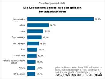 Dies waren 2025 die Wachstumssieger unter den Lebensversicherern