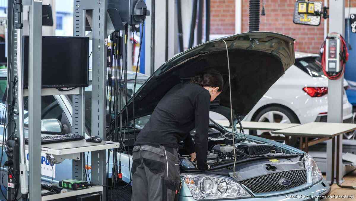 Berufswahl und KI: Warum junge Menschen mehr auf Praxiserfahrungen achten sollten
