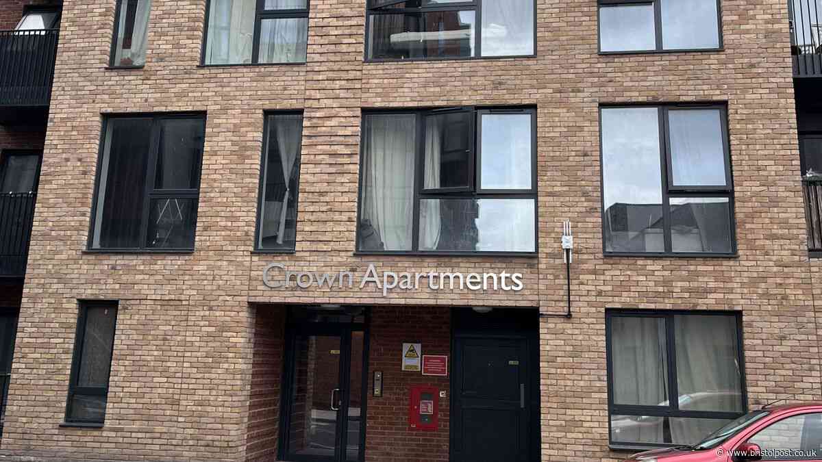 ‘A living nightmare’: Bedminster residents driven to tears by horrific rat infestation in social housing block
