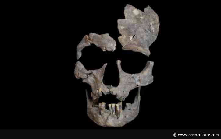 Scientists Discover the Earliest Evidence of Drug Use in 25,000-Year-Old Teeth