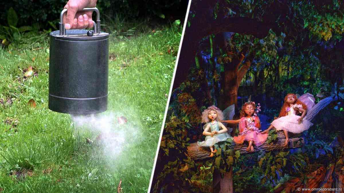 Efteling blijkt geliefde uitstrooiplek voor as, vooral Droomvlucht populair