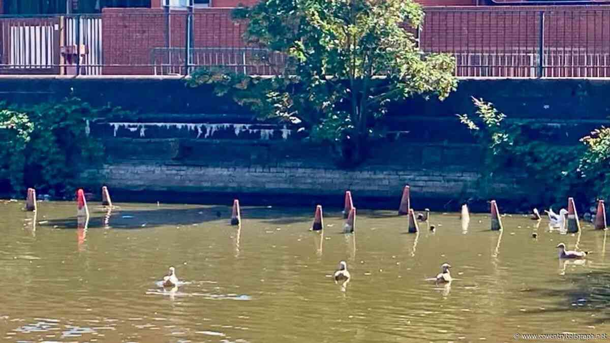 The bizarre items found in Coventry pool as water levels drop