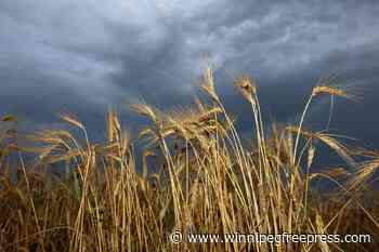 Multiple factors add up to difficult harvest