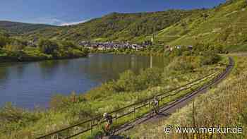 Das ist einer der schönsten Radwege Deutschlands – er führt entlang der Mosel