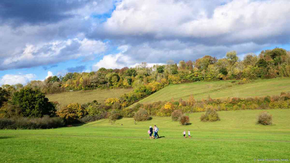 The South London park near Croydon with a fairytale name where walkers regularly spot deer