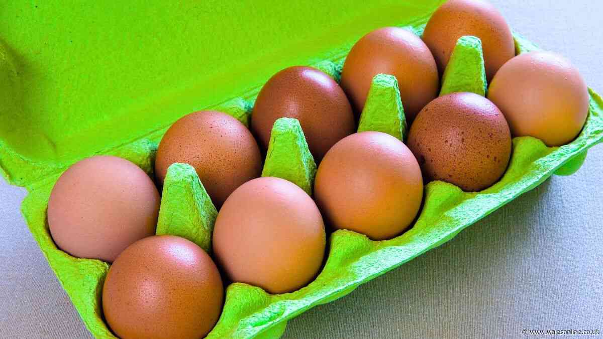 Stop storing eggs on counters as Nigella Lawson shares a better kitchen spot