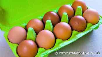 Stop storing eggs on counters as Nigella Lawson shares a better kitchen spot
