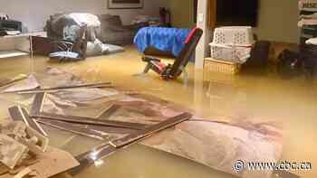 Back-to-back storms in Ontario's Niagara region caused estimated $360M in damage, report says