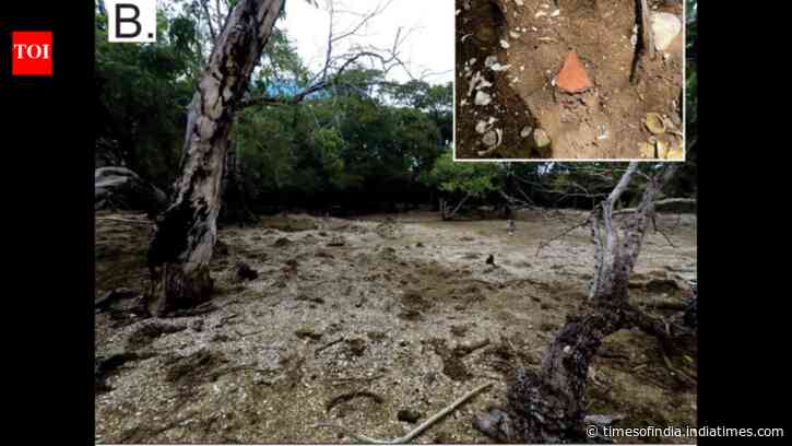 Archaeologists found a 1,200-year-old shell island in Fiji, possibly formed from food waste