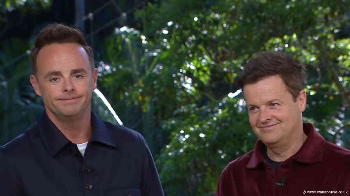 Ant and Dec explain format for new I'm A Celebrity spin-off as they tease major change