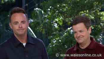 Ant and Dec explain format for new I'm A Celebrity spin-off as they tease major change
