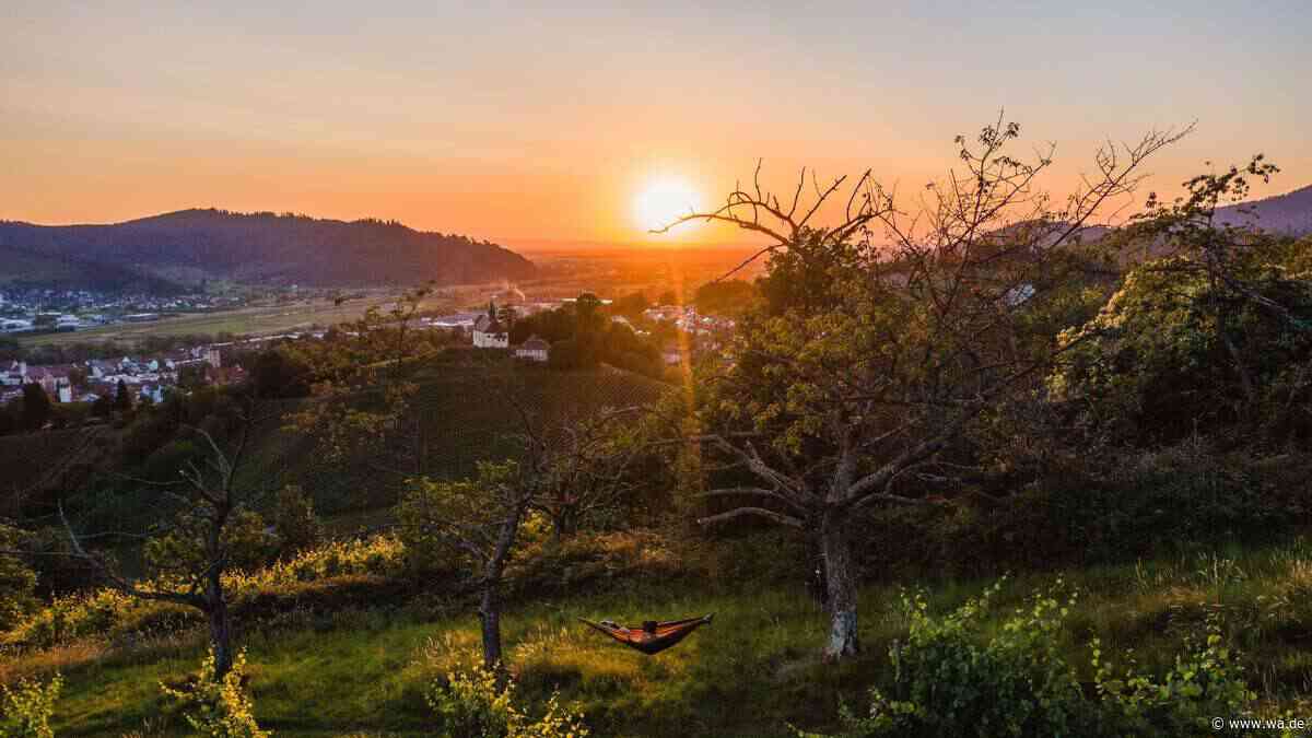 Neue Traumwege im Schwarzwald: Diese Pfade will jeder Wanderer kennen
