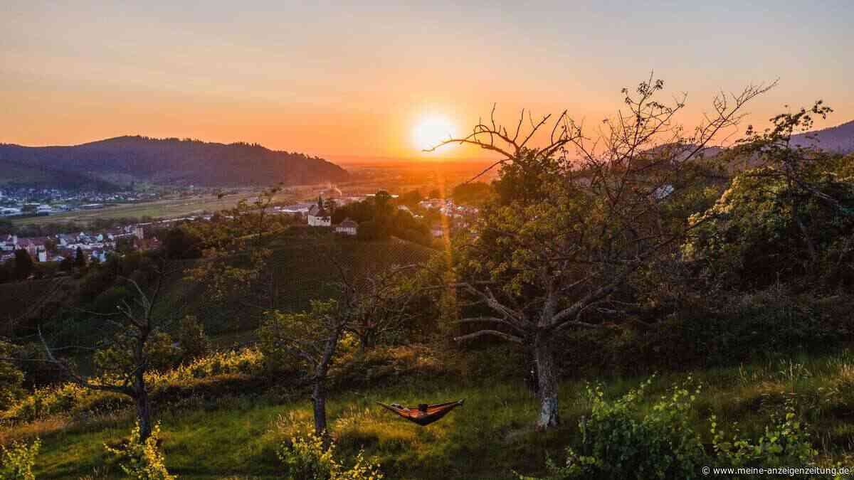 Neue Traumwege im Schwarzwald: Diese Pfade will jeder Wanderer kennen