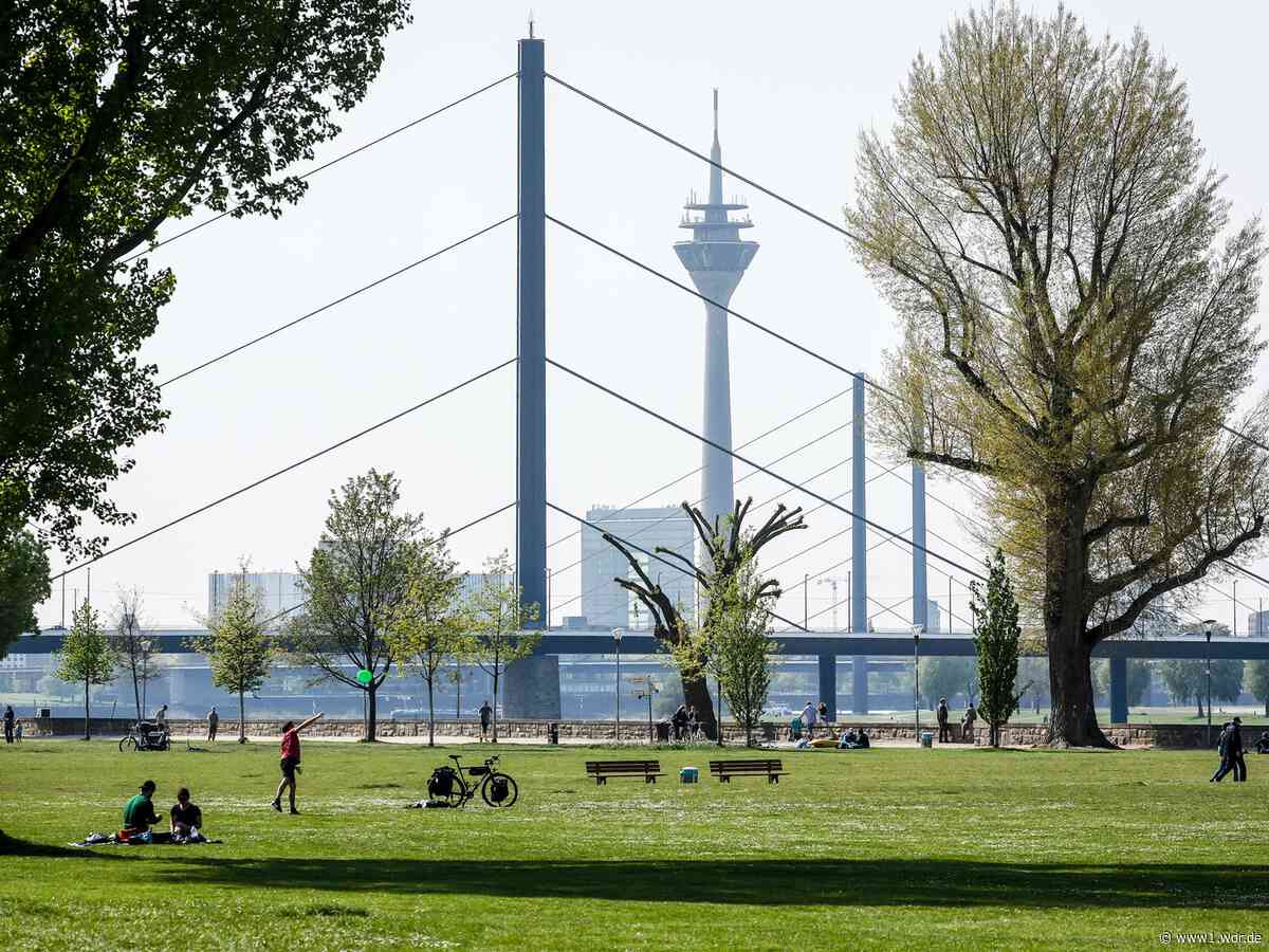 Tausende bei Anti-AfD-Demo in Düsseldorf erwartet