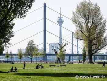Tausende bei Anti-AfD-Demo in Düsseldorf erwartet
