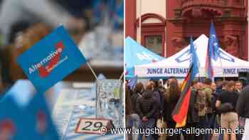 Umfrage-Hammer: 42 Prozent der jungen Menschen in Bayern würden AfD wählen