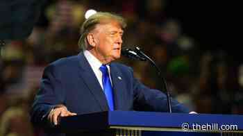Trump pledges $5K checks if Republicans do well in the midterms. Can he legally do that?