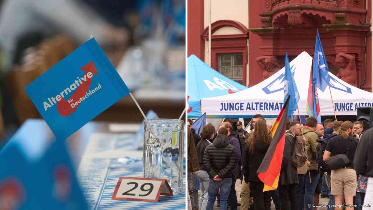 Umfrage-Hammer: 42 Prozent der jungen Menschen in Bayern würden AfD wählen