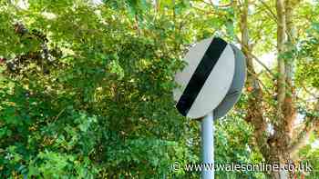 Lawyer explains your rights if you get a speeding fine when road sign is blocked by hedge
