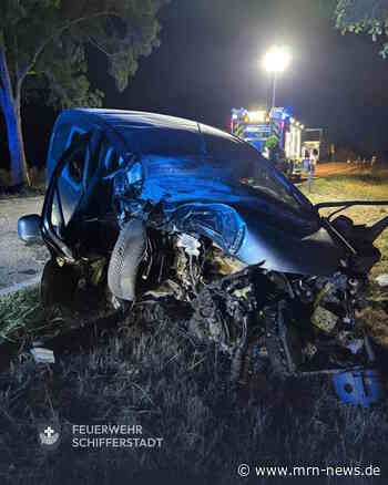 Schifferstadt – Schwerer Unfall auf der L454:  Auto prallt gegen Baum – Person schwer verletzt