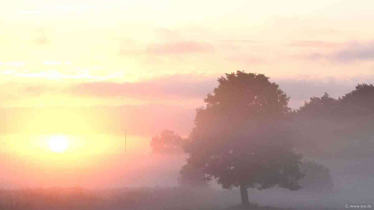 Viel Nebel im September: Alte Bauernregel sagt jetzt schon voraus, wie der Winter in NRW wird