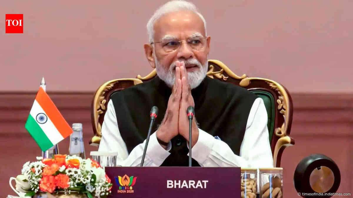 'Must turn pyramid of privilege into platform of partnership': PM Modi takes shot at West at Brics