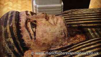 Manchester Museum removes Egyptian mummy from display out of 'respect for the dead'