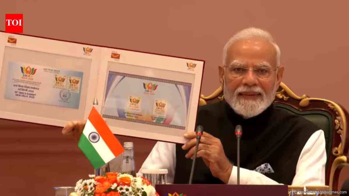 Brics New Delhi Declaration adopted: Terrorism, conflict resolution, tariff concerns addressed; key points