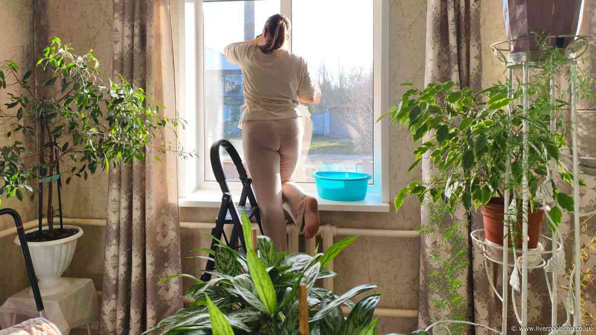 Windows will be streak-free and shining with 'Victorian' cleaning method