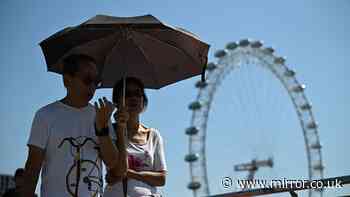 Heatwave verdict as UK temperatures forecast to rise once more