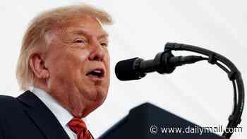 Trump gets huge laugh as he explains why Melania didn't join him for golf trip to Ireland