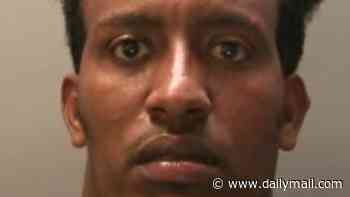 Eritrean illegal migrant raped woman on night out after being freed from jail after previous sex attack instead of being kicked out of the country