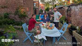 Council to fund alley garden after clearance mix up