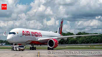Air India pilot dies during Delhi layover
