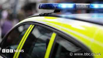 Woman and girl arrested after wrong-way crash on M1