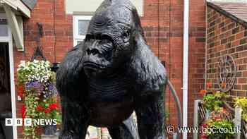Famed gorilla statue returns to Wakefield garden