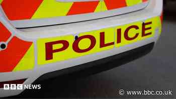 Woman dies after car crashes into wall