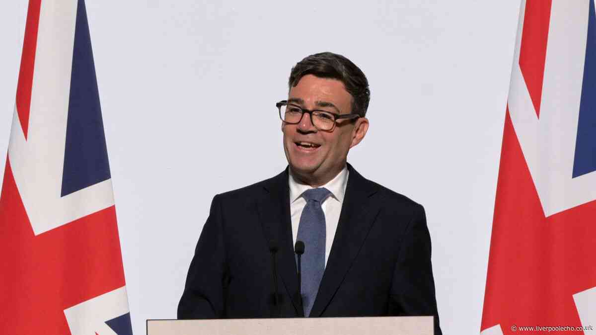 Andy Burnham government urged to issue £2,000 fine for wet wood as log burner rules set to be tightened