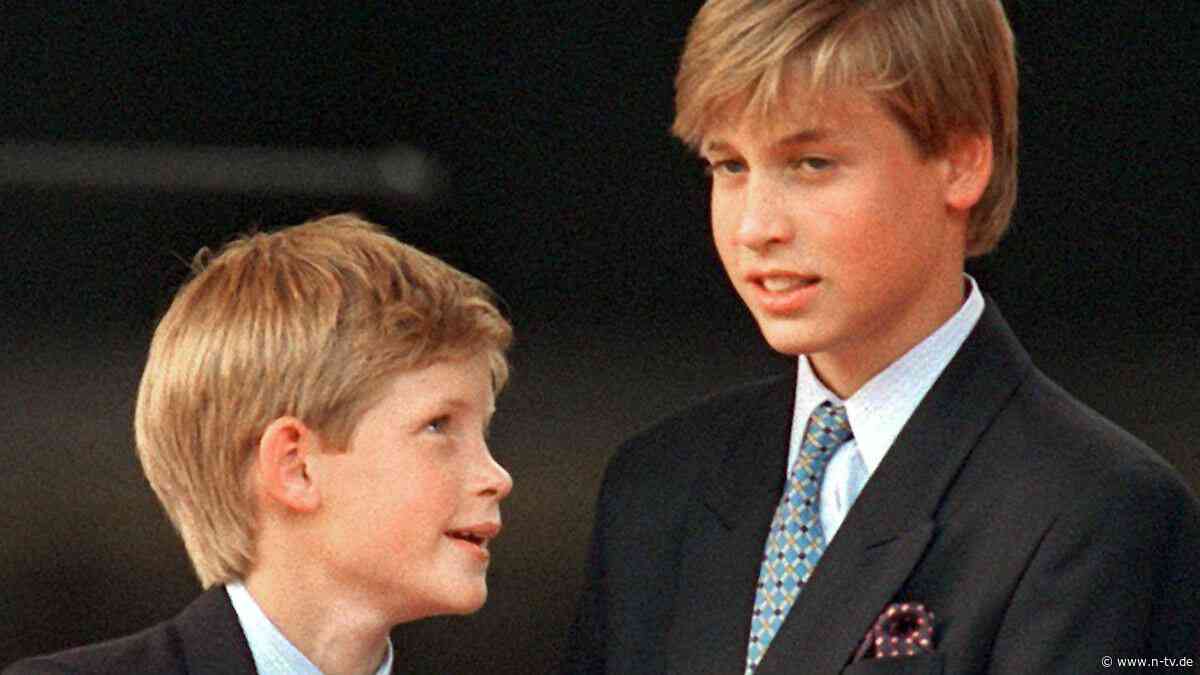 "Wäre lieb zu meinem Bruder": Die Welt schaut auf William und Harry