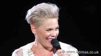 Pop Singer Pink Breaks Silence on Macklemore Backlash and Tells Her Fans 'A Meme Isn't a Spine'