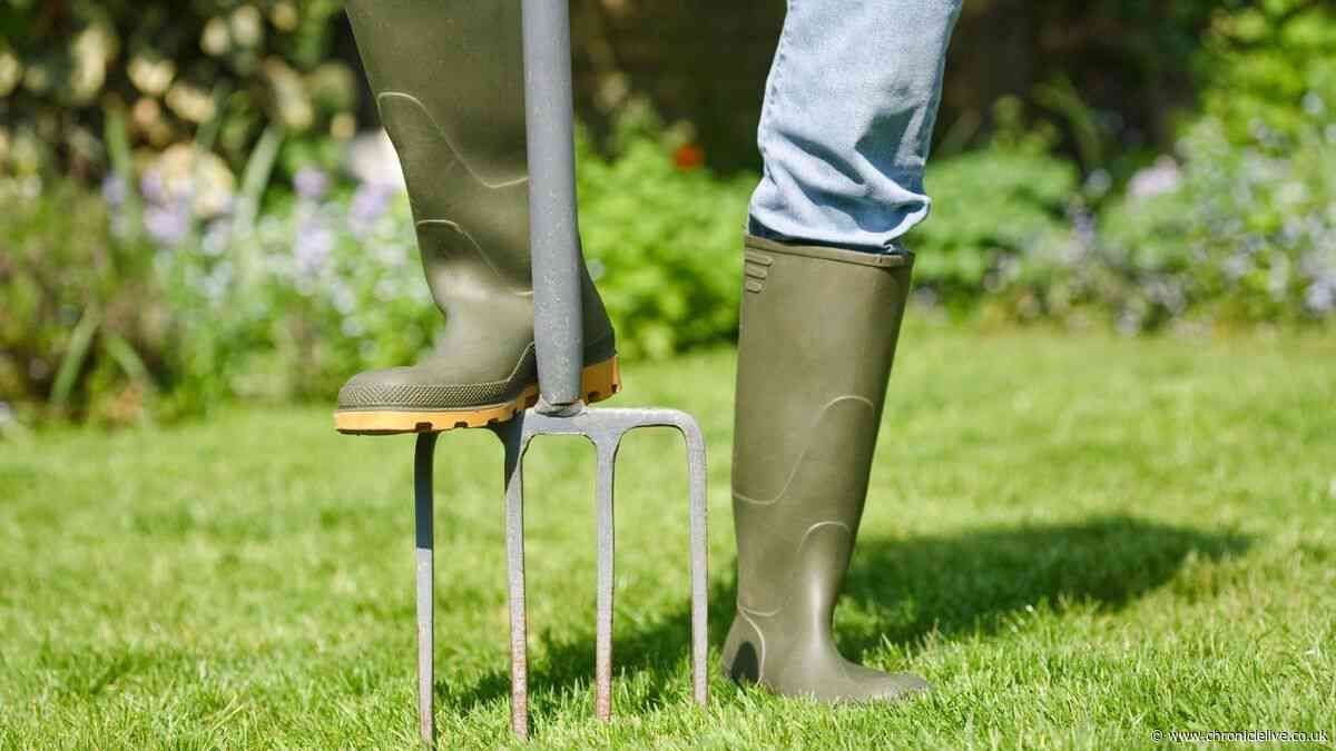 Get your garden winter-ready with 10 tasks to keep your green spaces healthy