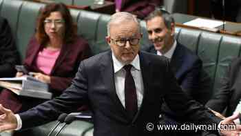 I've heard the private grumblings of young, talented Labor MPs - and they're all asking the same question about Albo's future: PVO